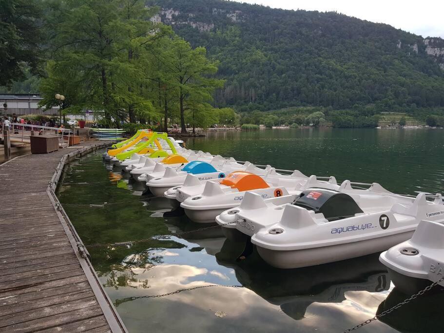 Joli Appartement En Face De Lac Nantua Eksteriør bilde