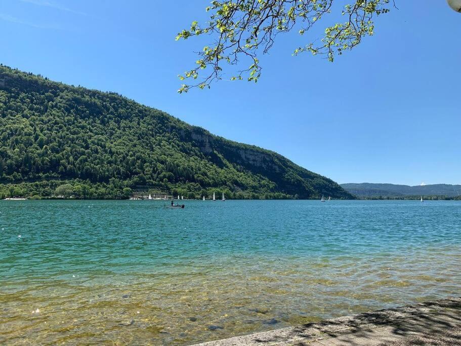 Joli Appartement En Face De Lac Nantua Eksteriør bilde