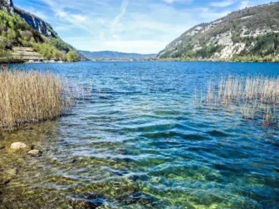 Joli Appartement En Face De Lac Nantua Eksteriør bilde